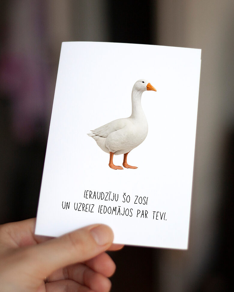 Tu esi zoss.