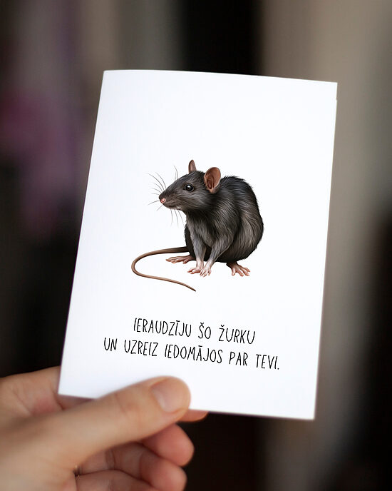 Tu esi žurka.