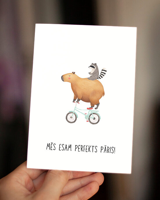 Perfekts pāris.